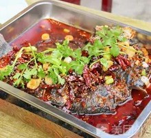 Tilapia