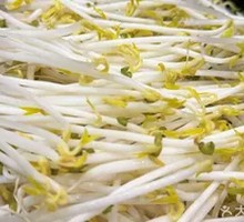 Bean sprouts