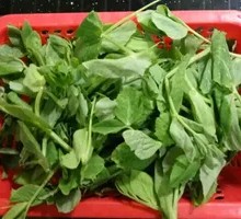 Chinese pea shoots
