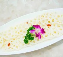 Lotus Root