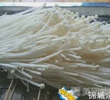 Enoki Mushroom