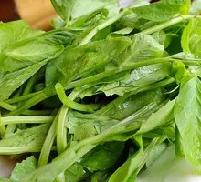 Pea Shoots