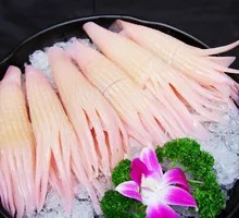 Rocket Squid