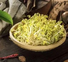 Bean sprouts