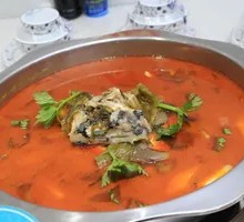 Flower Carp