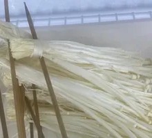 Enoki Mushroom