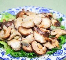 Shiitake Mushroom
