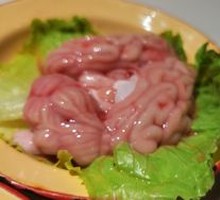 Fresh Brain Tissue