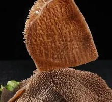 Premium Crispy Tripe