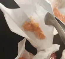 Salmon Toilet