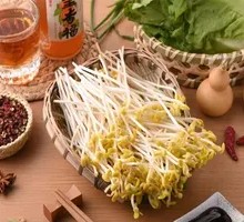 Bean sprouts