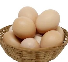 Nutritious Free-range Egg