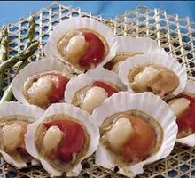 Scallop