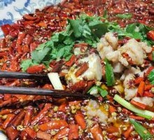 Bishan Rabbit from Chongqing