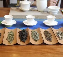 Tea Selection