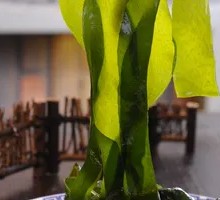 Sea lettuce
