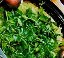Pea Shoots