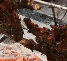 Charcoal-grilled Lamb Ribs