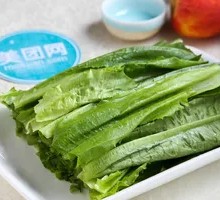 Oilseed lettuce