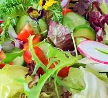 Steppe Big Mixed Salad