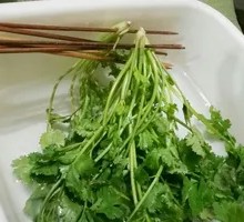 Cilantro