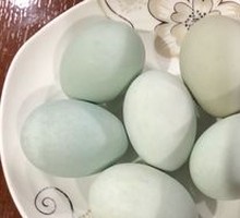 Boiled Egg in Plain Water