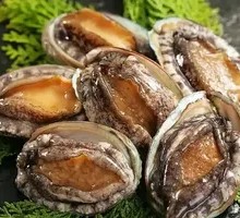Abalone