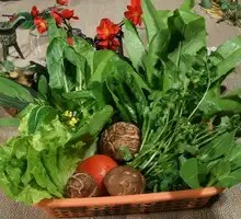 Seasonal Vegetables