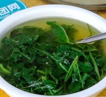 Vegetable Soup