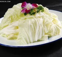 Chinese cabbage