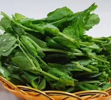 Pea Shoots