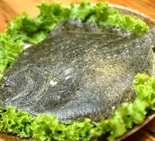 Turbot
