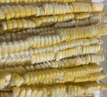 Corn Kernels