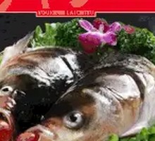 Premium Fish Head