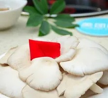 Enoki Mushroom