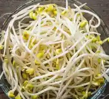 Mung Bean Sprouts