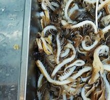 Black Tripe Layered Dish