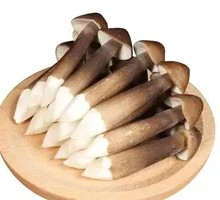 Black Skin Chicken Mushroom