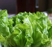 Lettuce