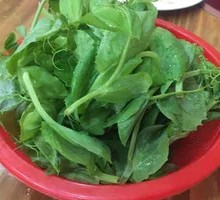 Pea Shoots