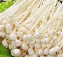 精品金针菇