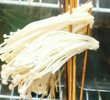 Enoki Mushroom