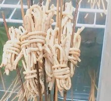 Houttuin Root