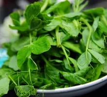 Pea Shoots