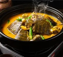 Braised Softshell Turtle