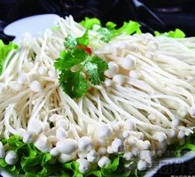 Enoki Mushroom