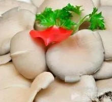 Enoki Mushroom