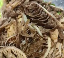 Steamed Beef Tripe