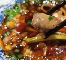 Rabbit Kidney
