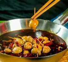 Rabbit Kidney